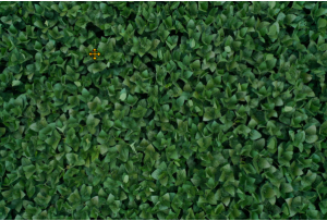 soybean monitoring -agroscout